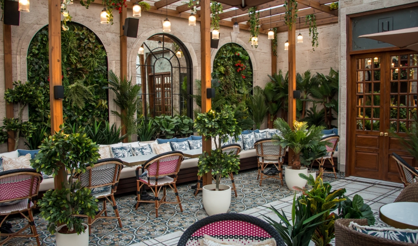 Step into a botanical paradise on the hotel's outdoor patio, where plants of all shapes and sizes create a vibrant and refreshing atmosphere